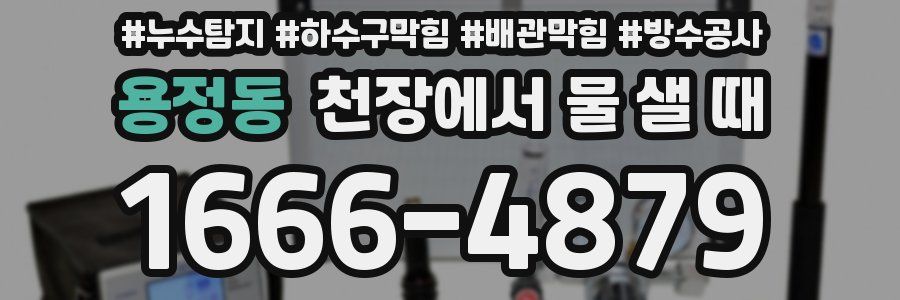 용정동 천장에서 물 샐 때