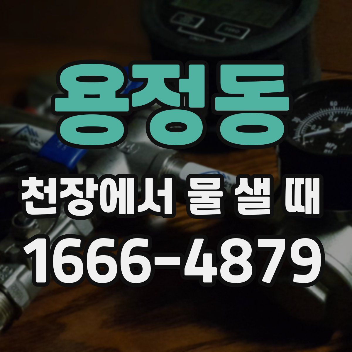 용정동 천장에서 물 샐 때