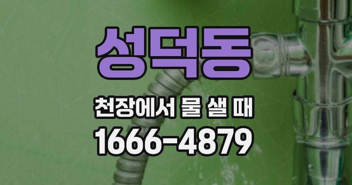 성덕동 천장에서 물 샐 때