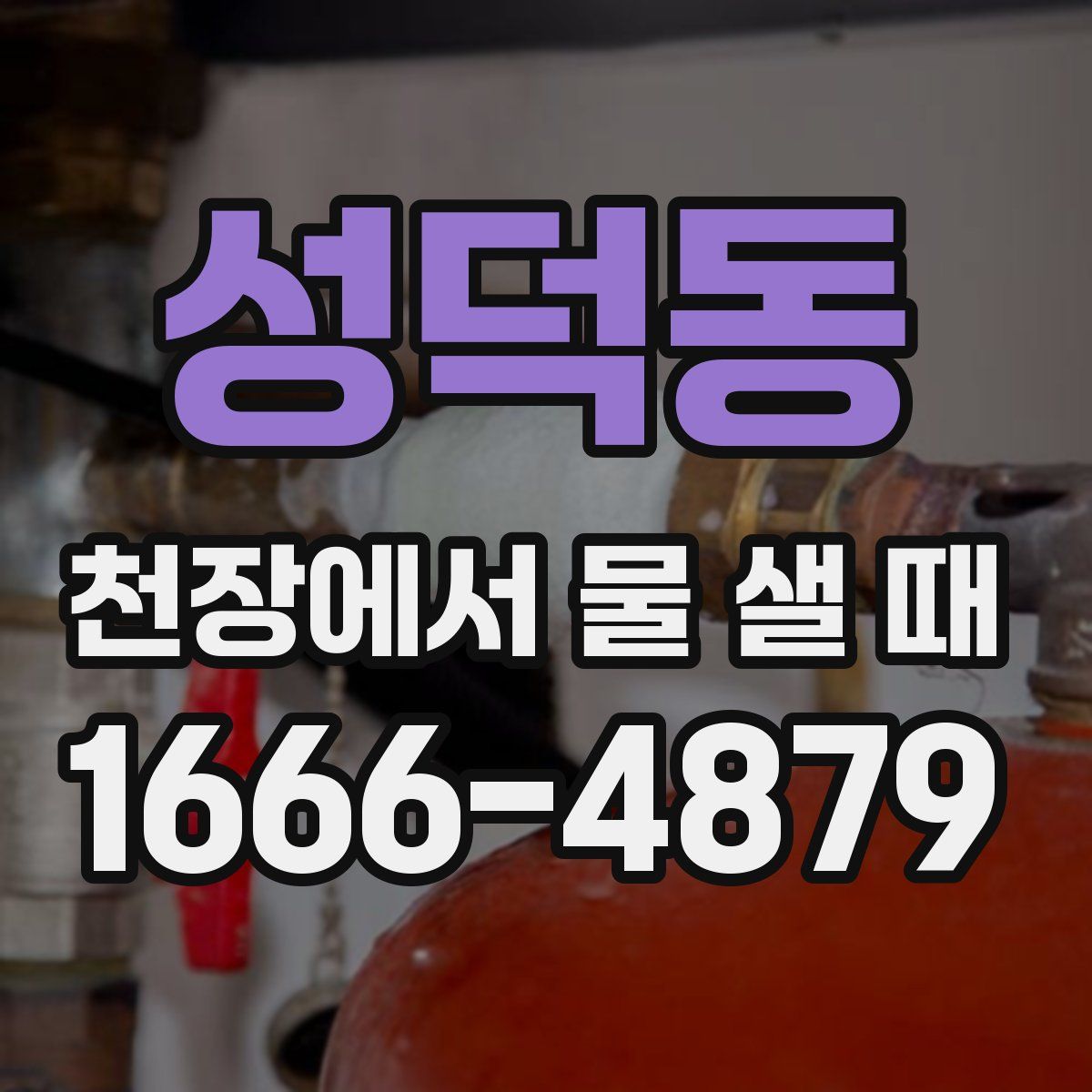 성덕동 천장에서 물 샐 때