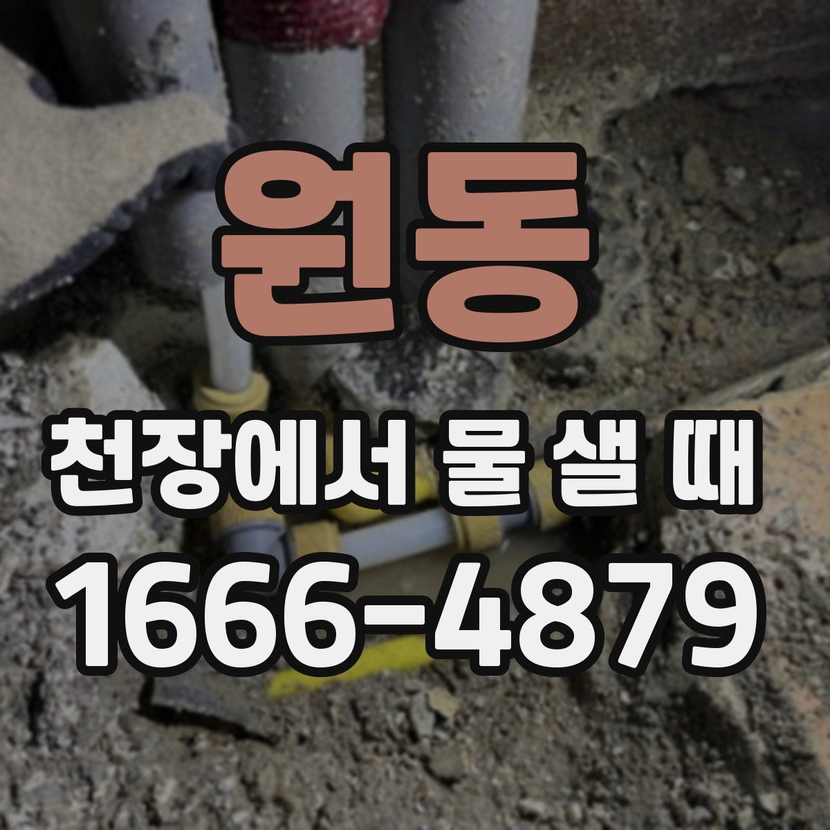 원동 천장에서 물 샐 때