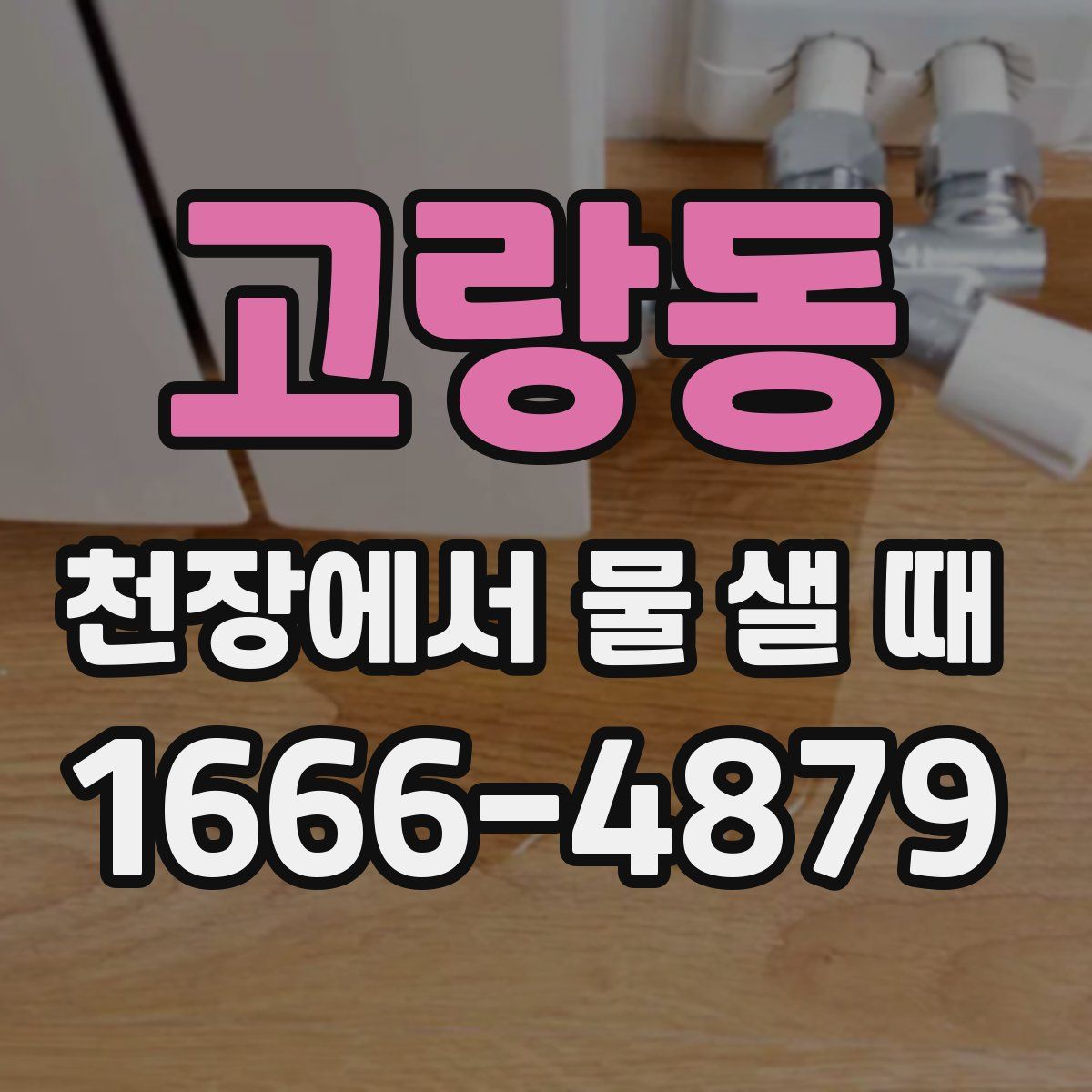 고랑동 천장에서 물 샐 때