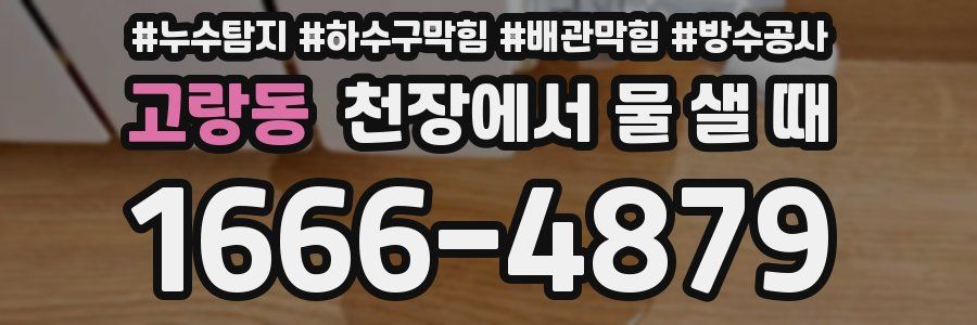 고랑동 천장에서 물 샐 때