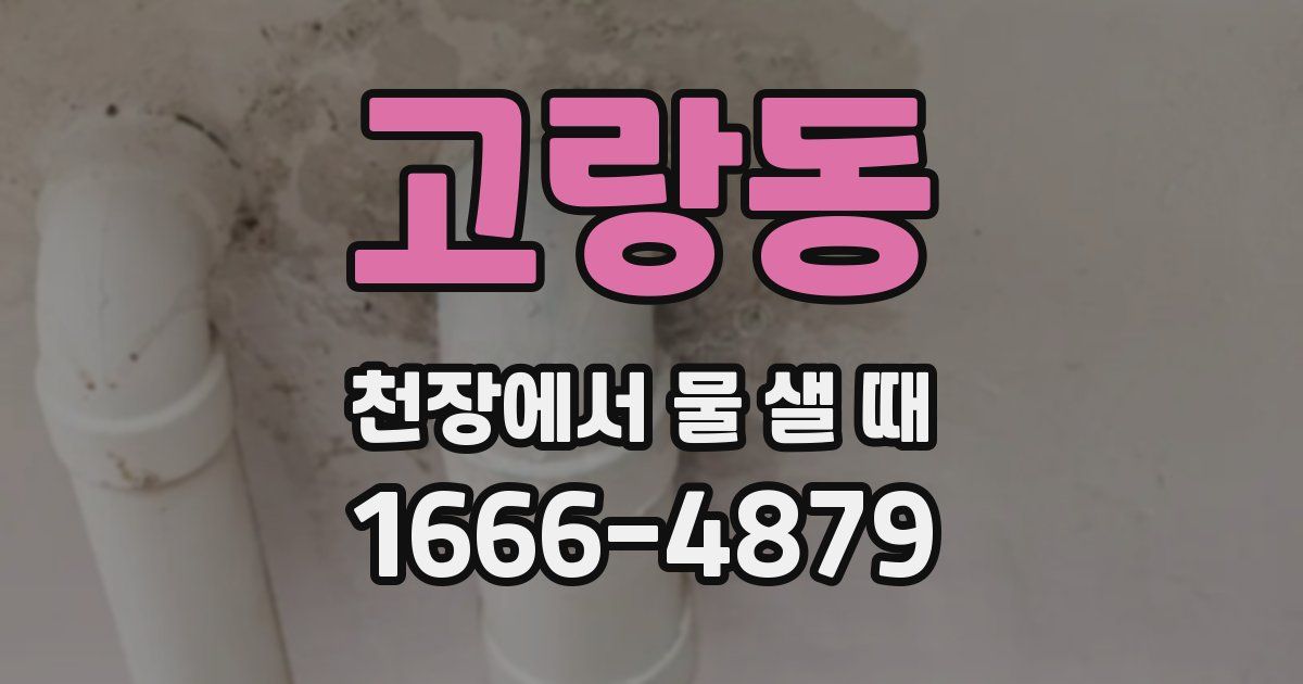 고랑동 천장에서 물 샐 때