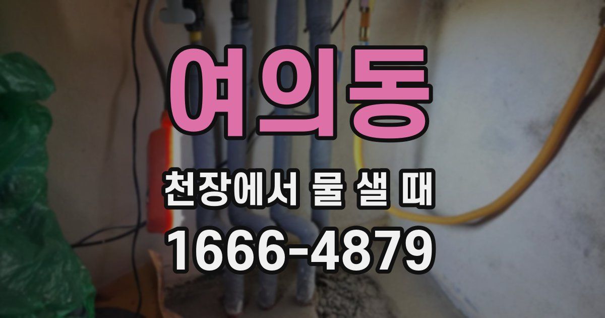 여의동 천장에서 물 샐 때