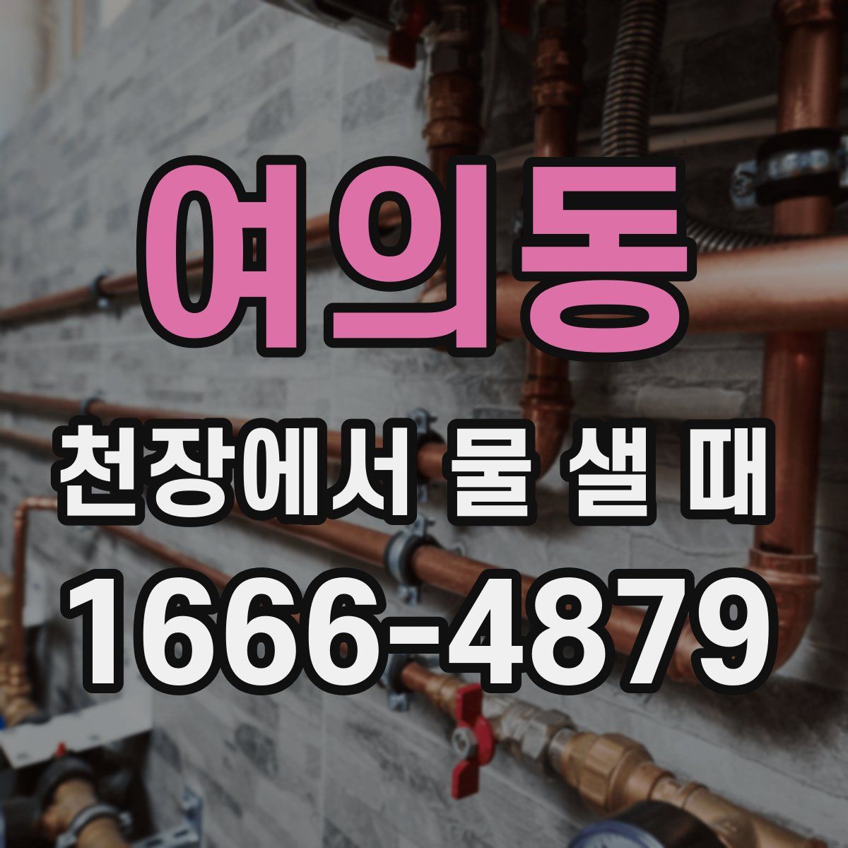 여의동 천장에서 물 샐 때