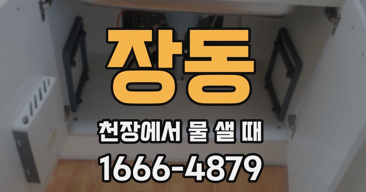 장동 천장에서 물 샐 때