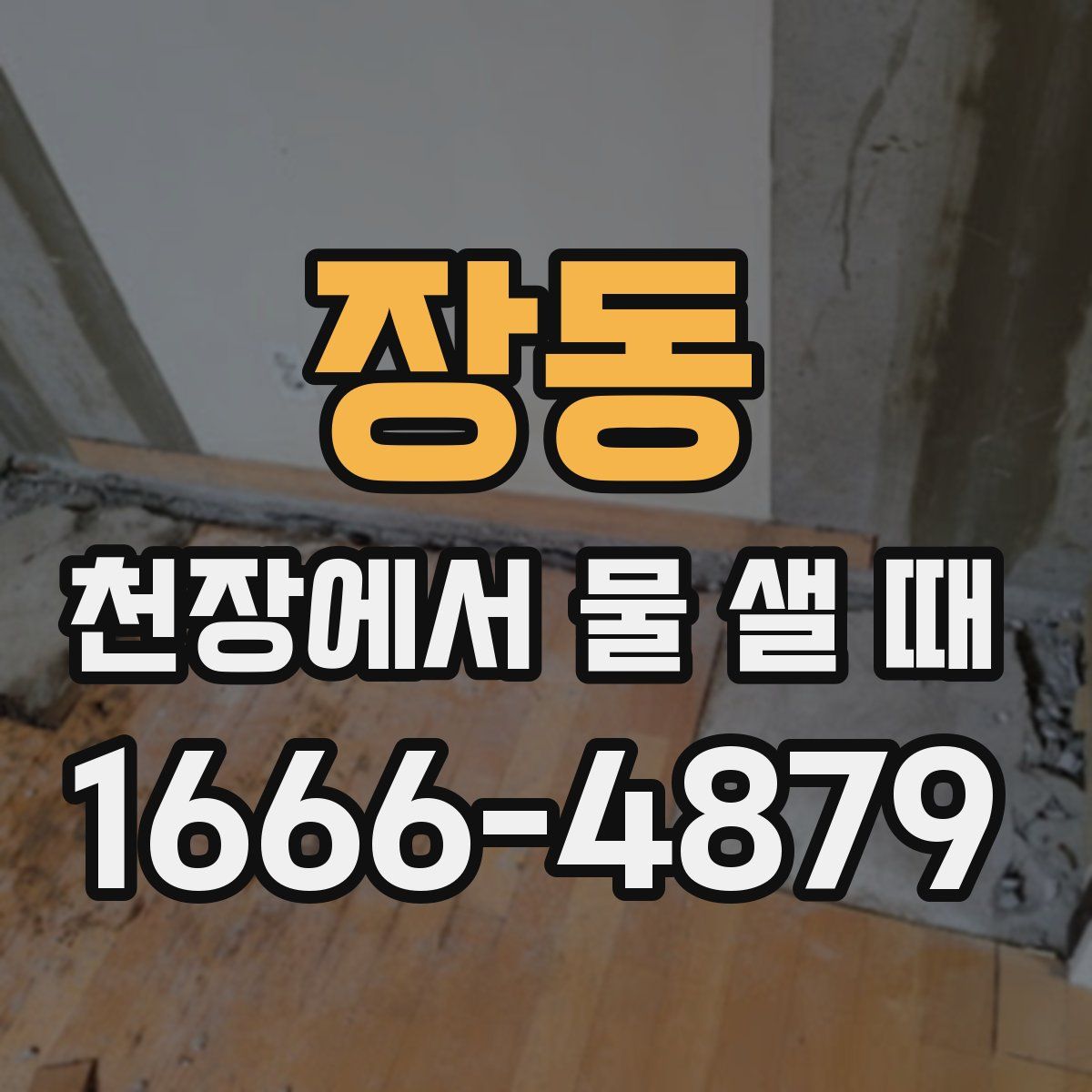 장동 천장에서 물 샐 때
