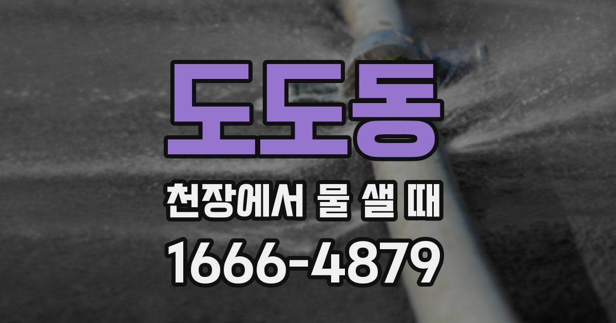 도도동 천장에서 물 샐 때