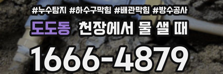 도도동 천장에서 물 샐 때