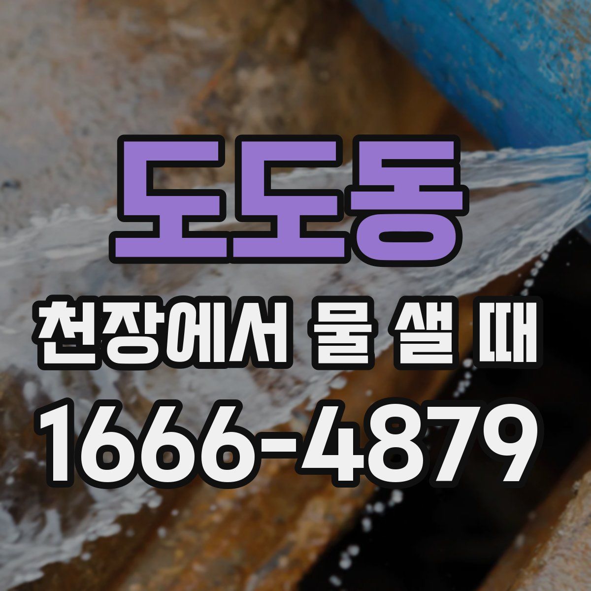 도도동 천장에서 물 샐 때