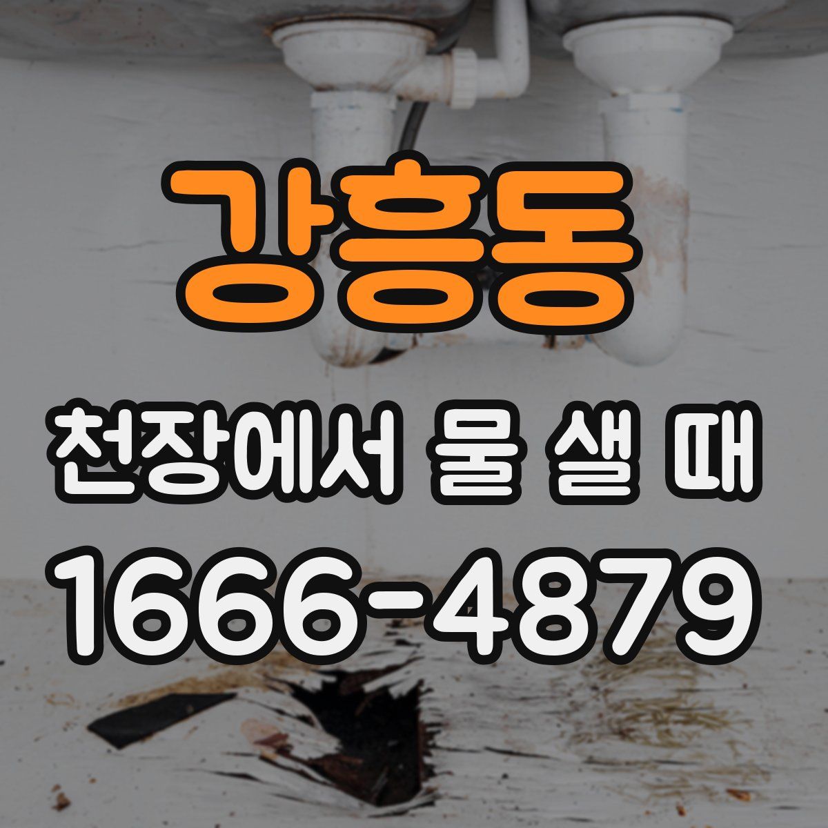 강흥동 천장에서 물 샐 때