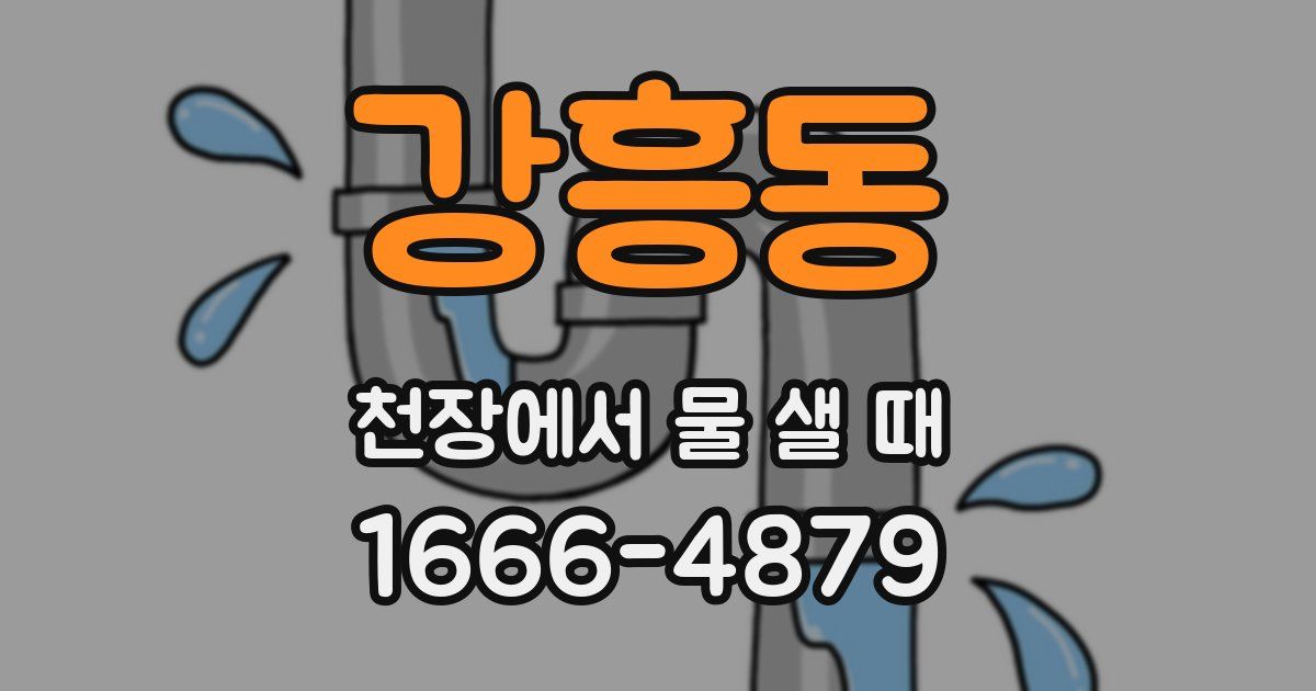 강흥동 천장에서 물 샐 때