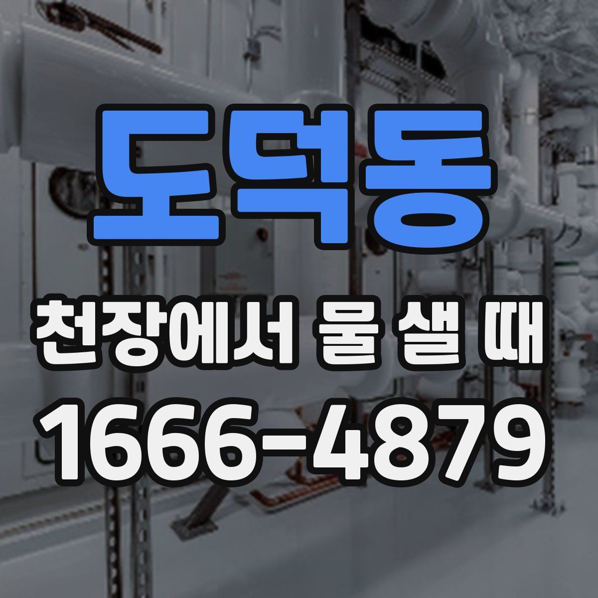 도덕동 천장에서 물 샐 때