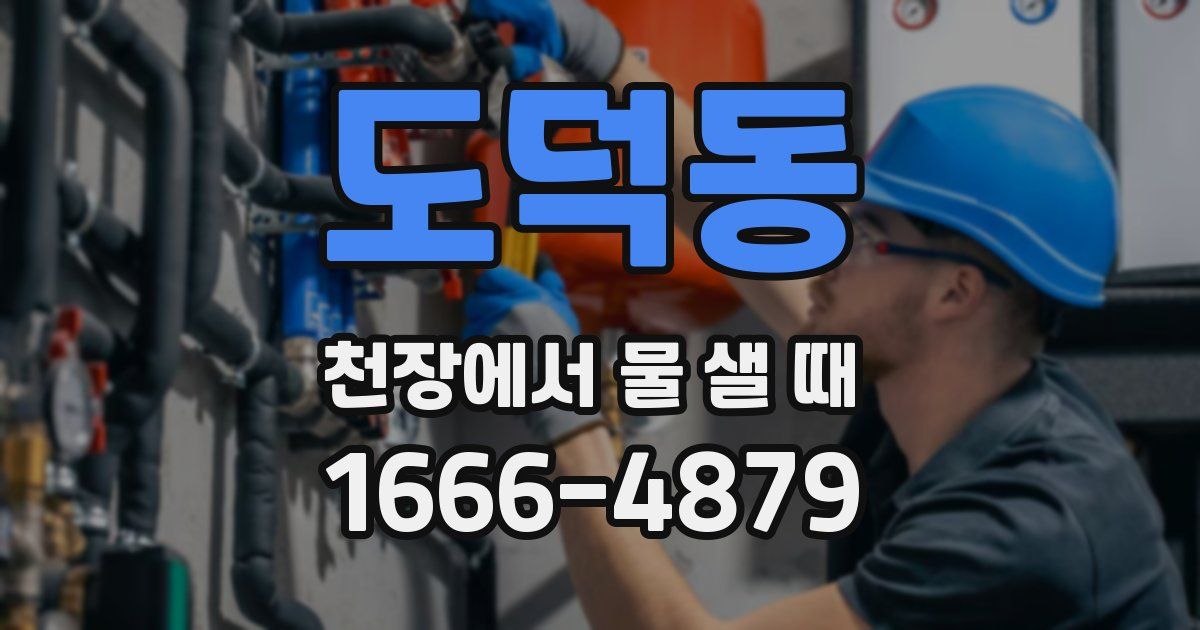 도덕동 천장에서 물 샐 때