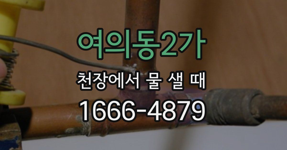 여의동2가 천장에서 물 샐 때
