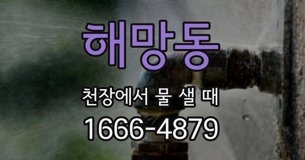 해망동 천장에서 물 샐 때