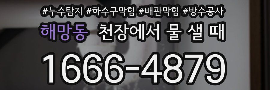 해망동 천장에서 물 샐 때