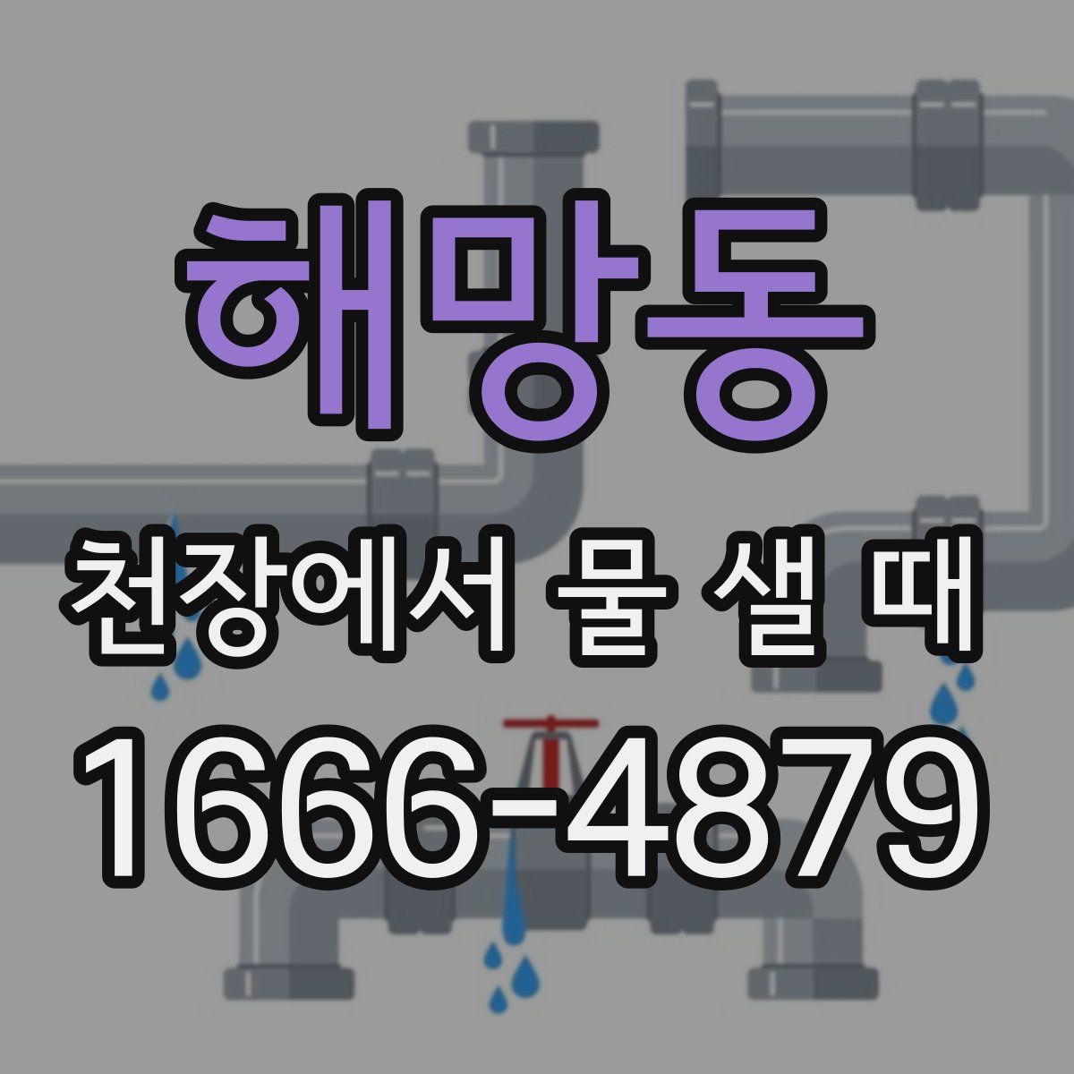 해망동 천장에서 물 샐 때