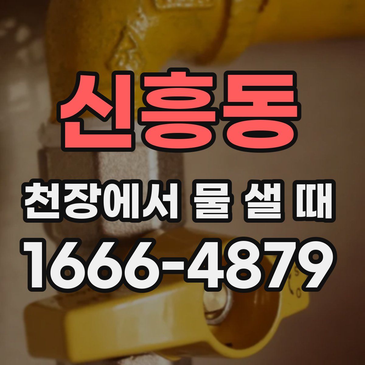 신흥동 천장에서 물 샐 때