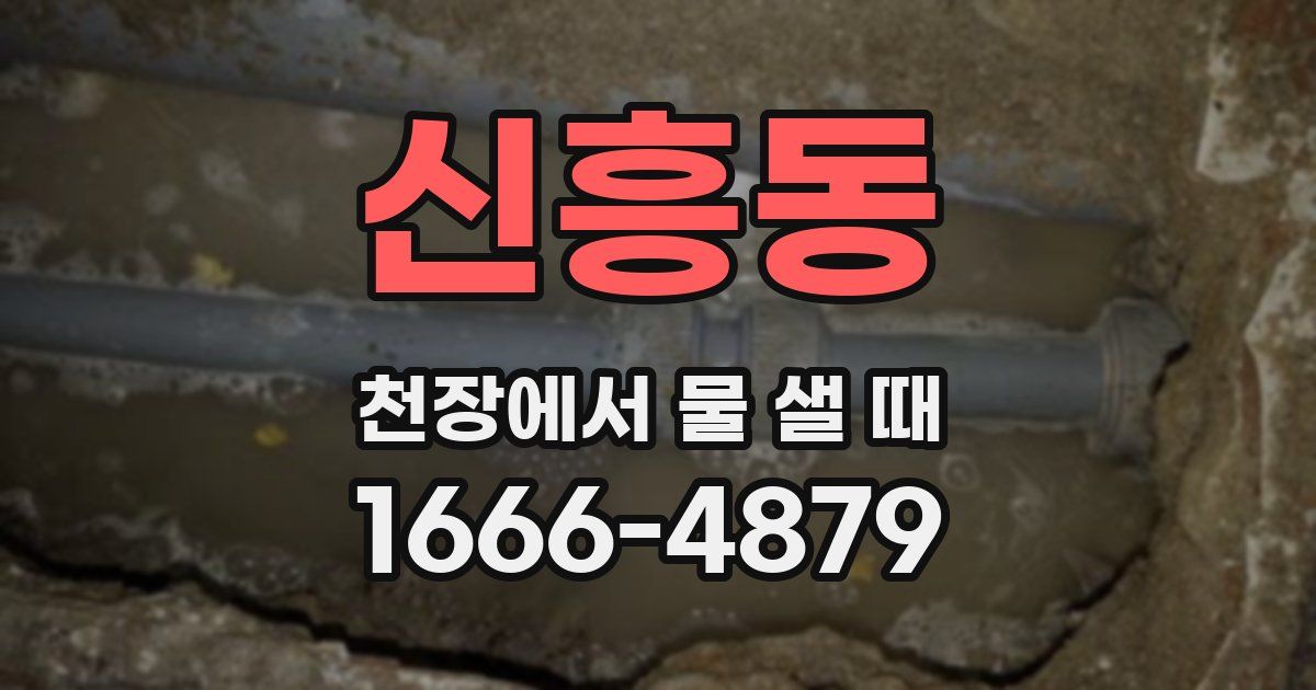 신흥동 천장에서 물 샐 때