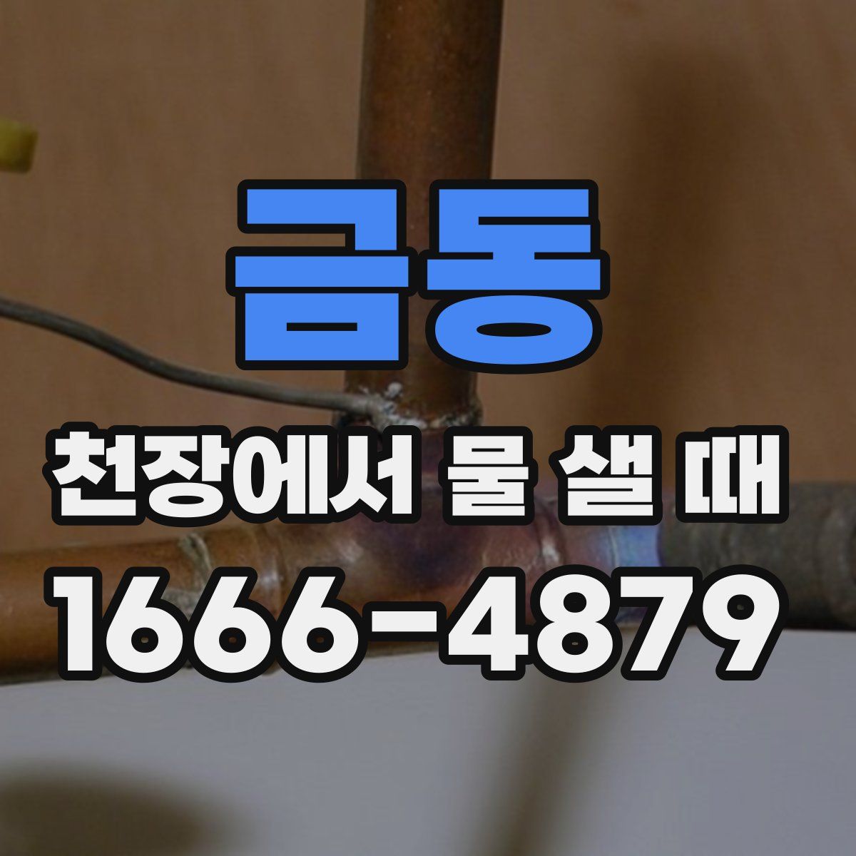 금동 천장에서 물 샐 때