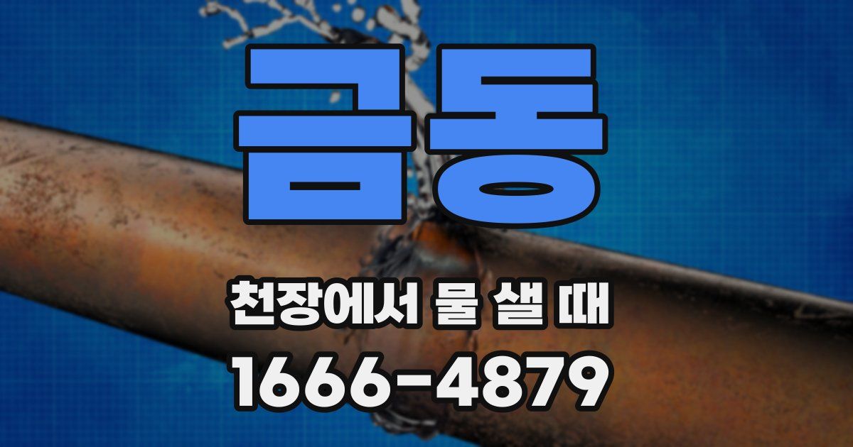금동 천장에서 물 샐 때