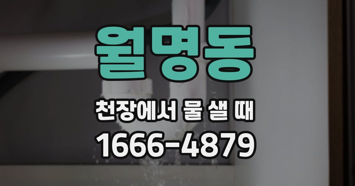 월명동 천장에서 물 샐 때