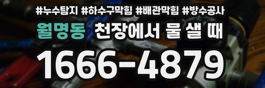 월명동 천장에서 물 샐 때