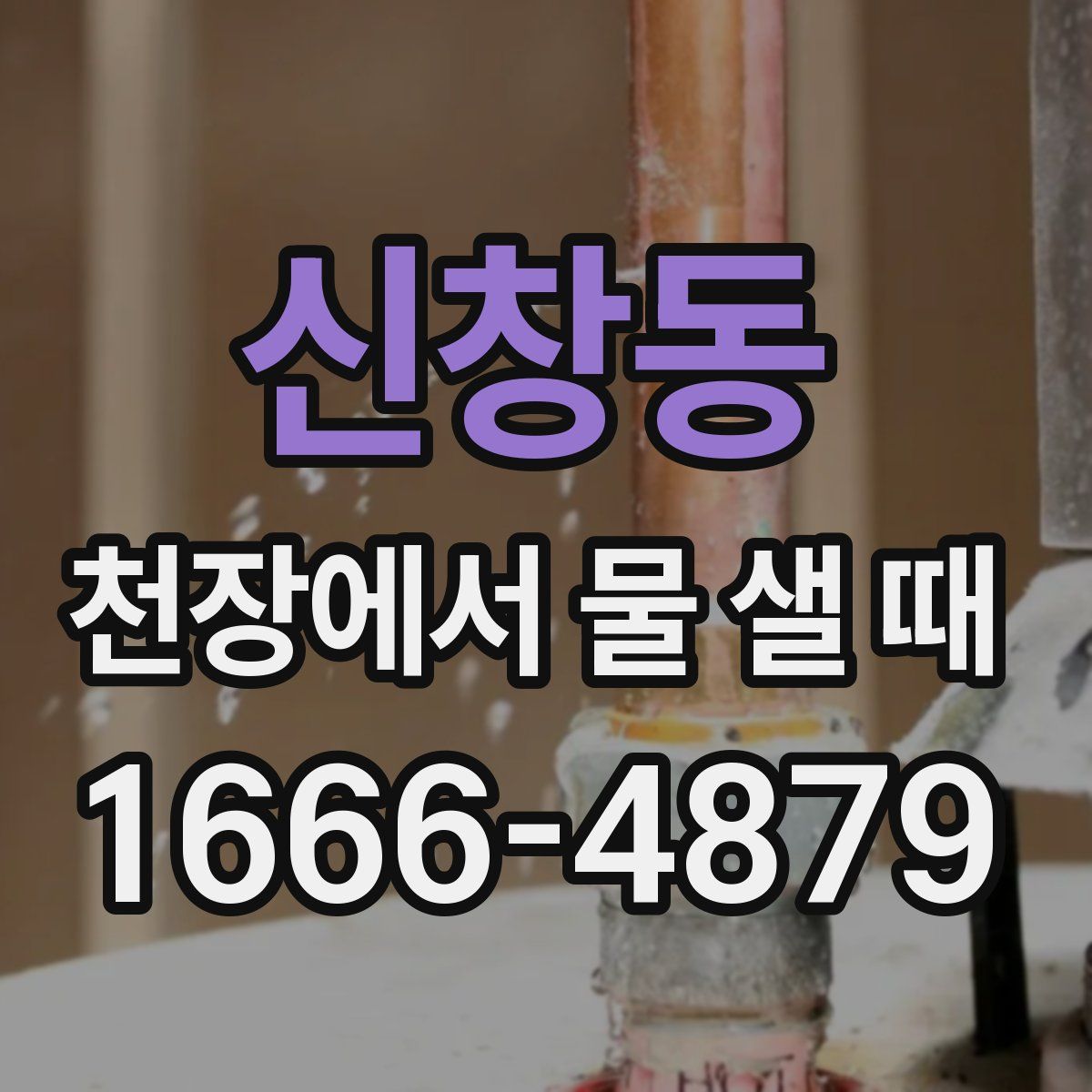 신창동 천장에서 물 샐 때