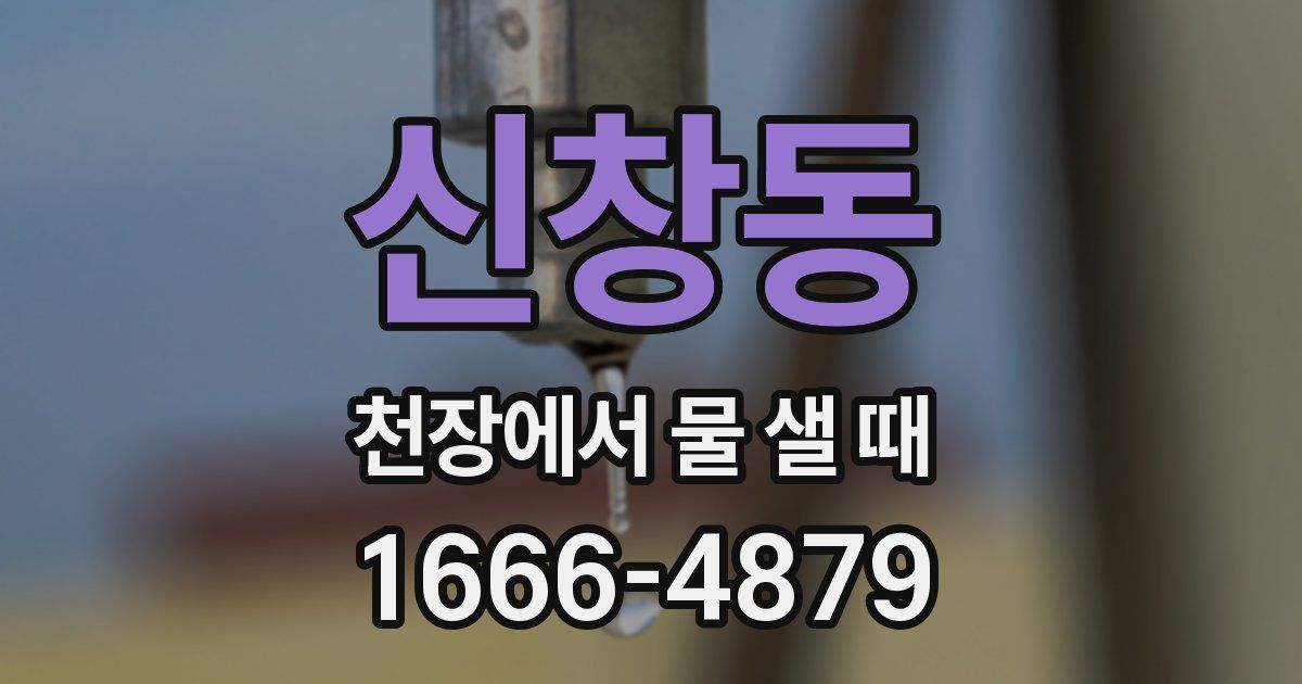 신창동 천장에서 물 샐 때