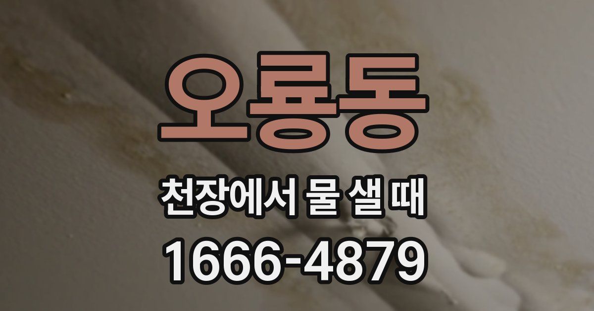 오룡동 천장에서 물 샐 때