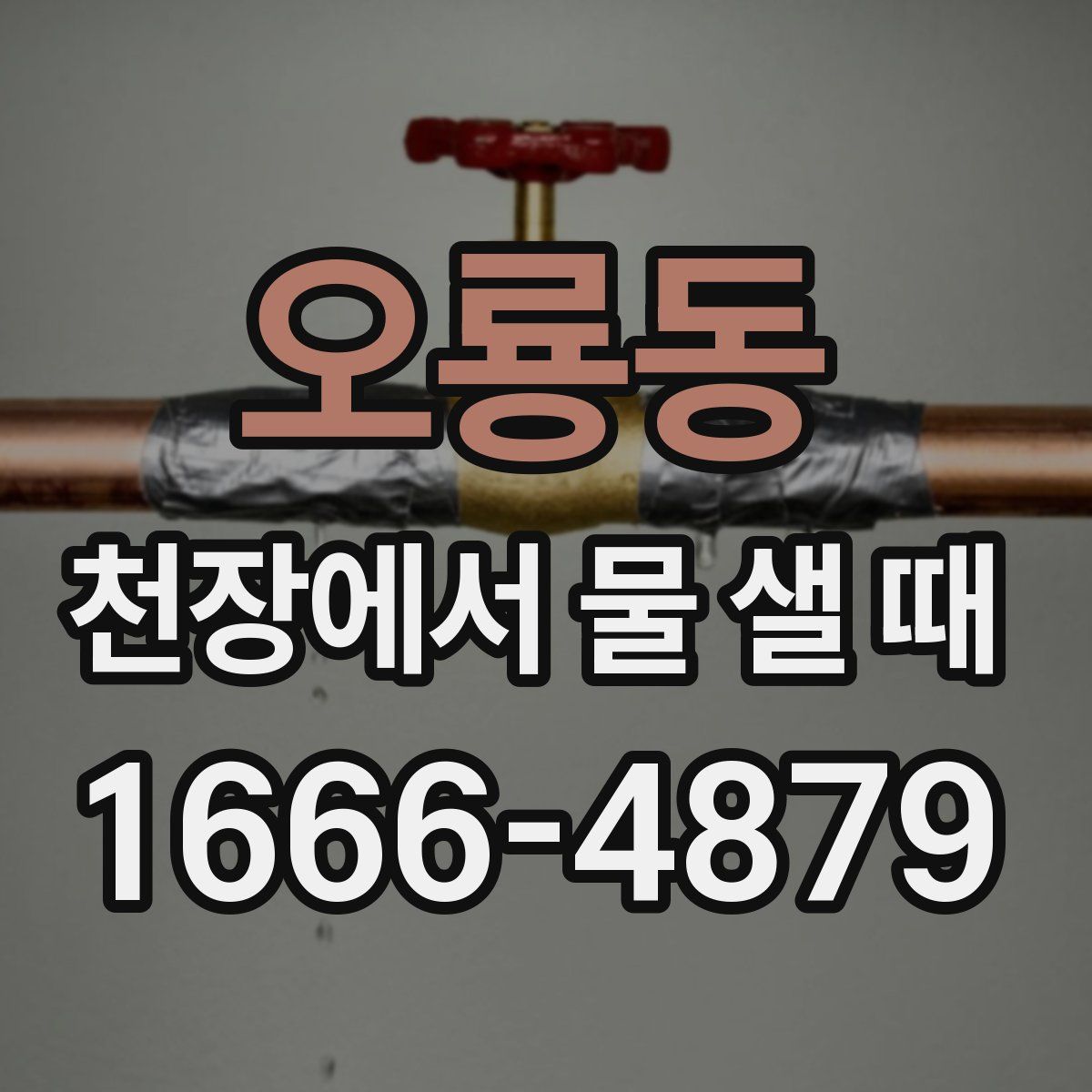 오룡동 천장에서 물 샐 때
