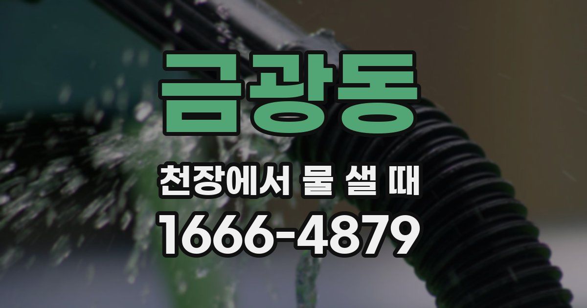 금광동 천장에서 물 샐 때