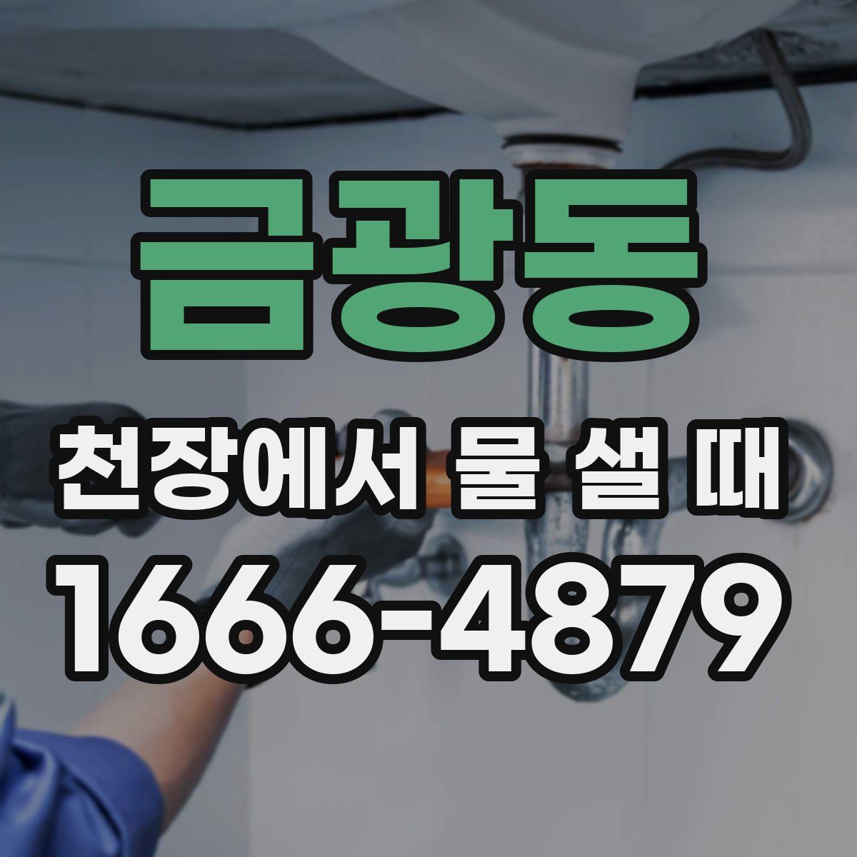 금광동 천장에서 물 샐 때