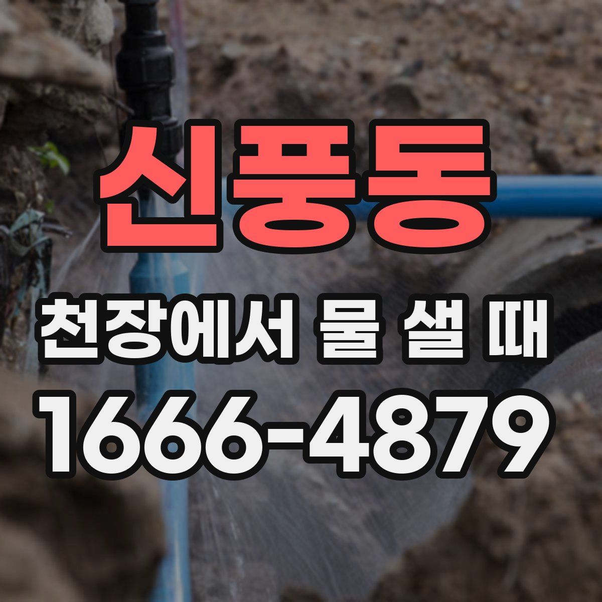 신풍동 천장에서 물 샐 때