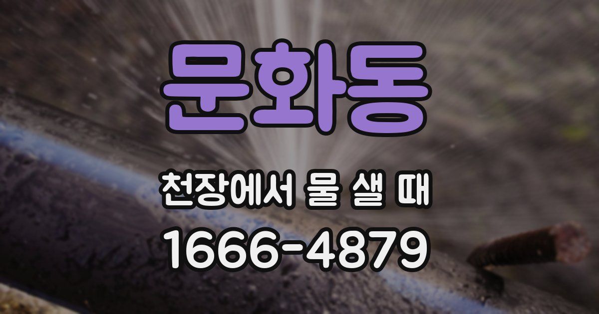 문화동 천장에서 물 샐 때