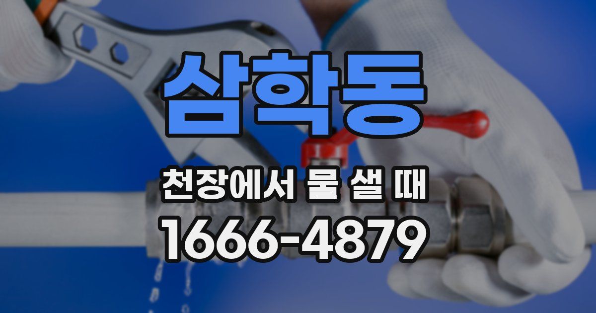 삼학동 천장에서 물 샐 때