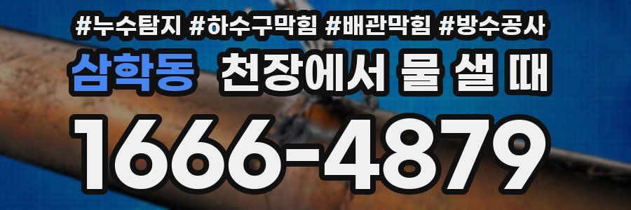 삼학동 천장에서 물 샐 때