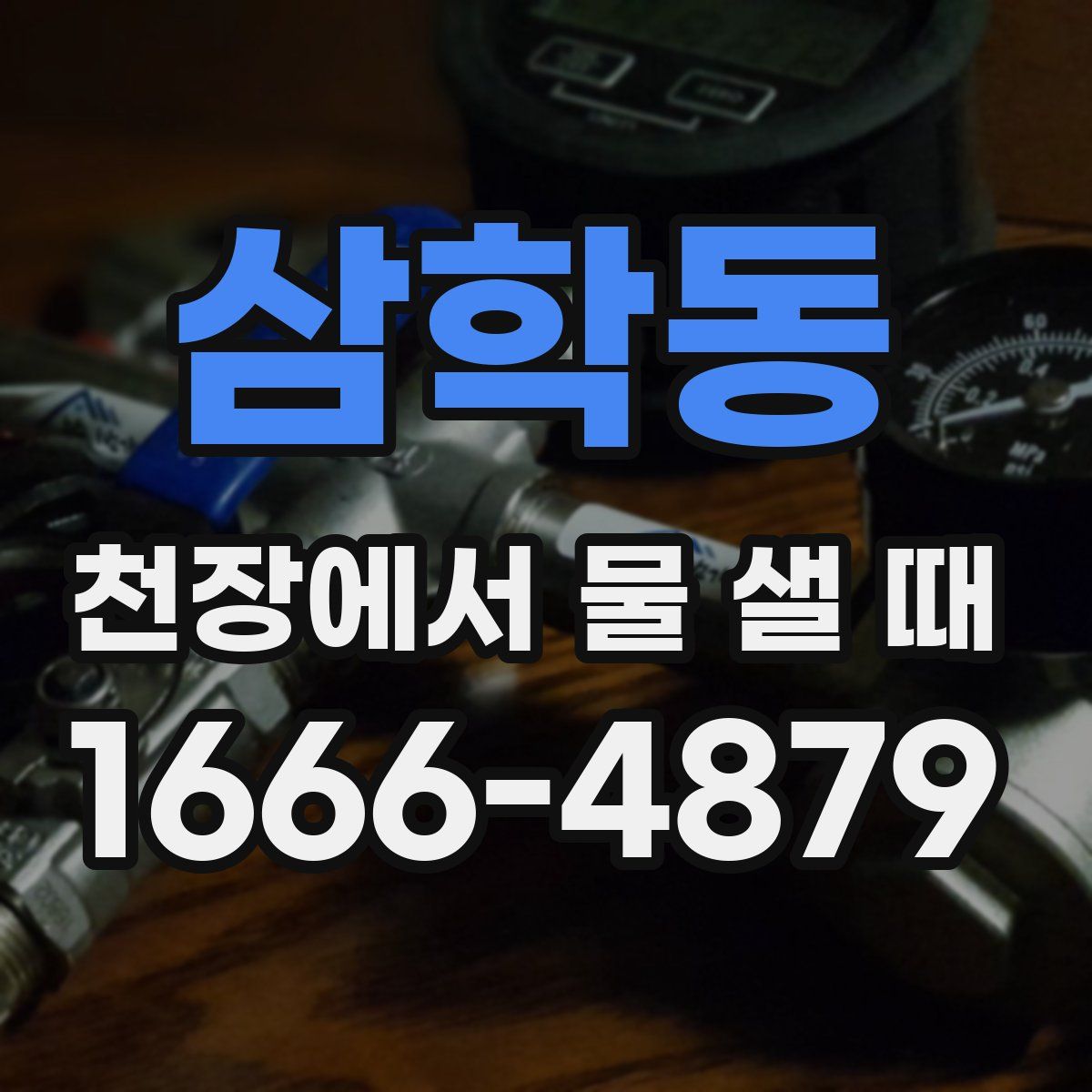 삼학동 천장에서 물 샐 때