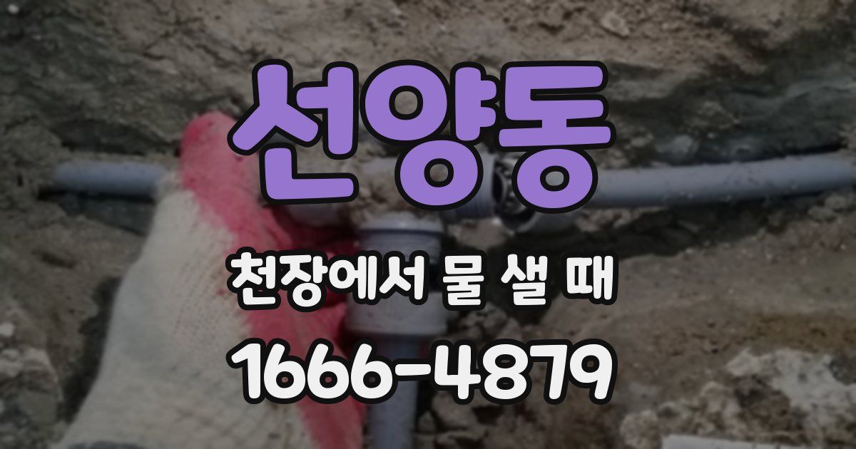 선양동 천장에서 물 샐 때