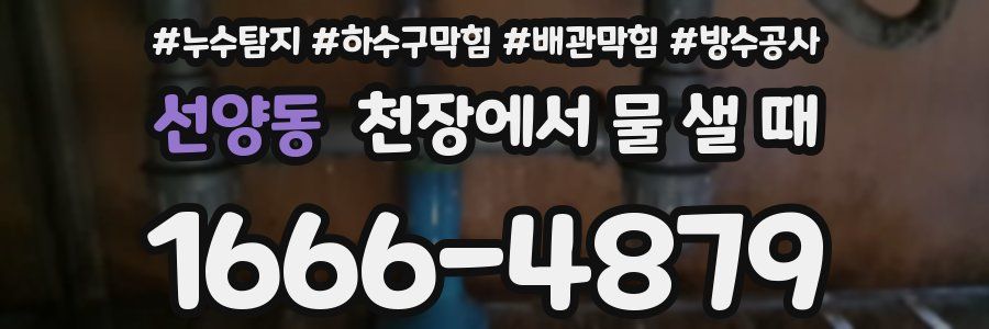 선양동 천장에서 물 샐 때