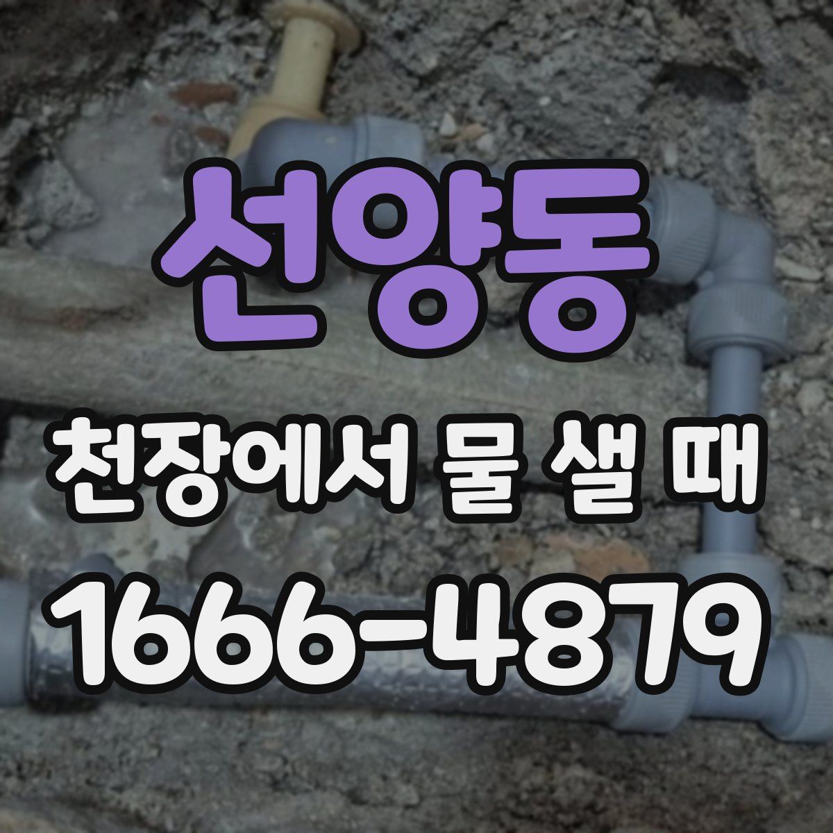 선양동 천장에서 물 샐 때