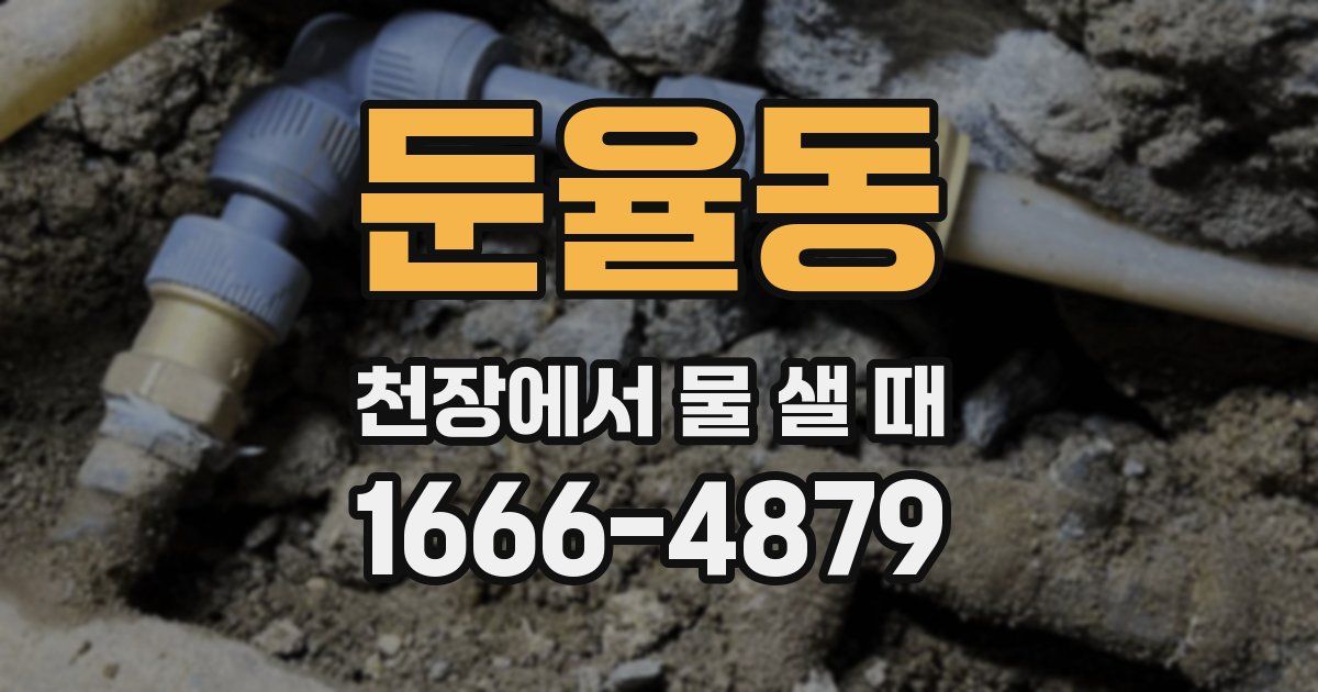 둔율동 천장에서 물 샐 때