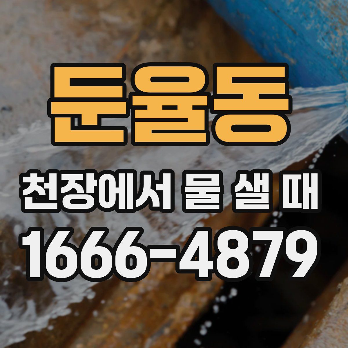 둔율동 천장에서 물 샐 때