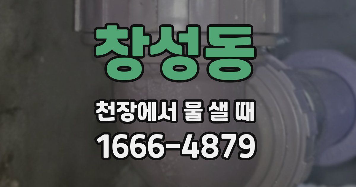 창성동 천장에서 물 샐 때