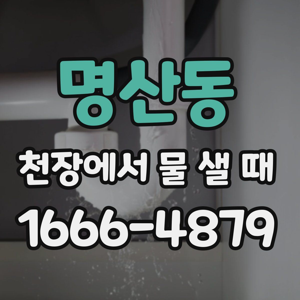 명산동 천장에서 물 샐 때