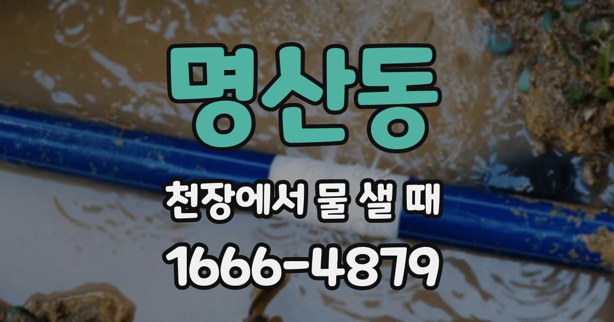 명산동 천장에서 물 샐 때