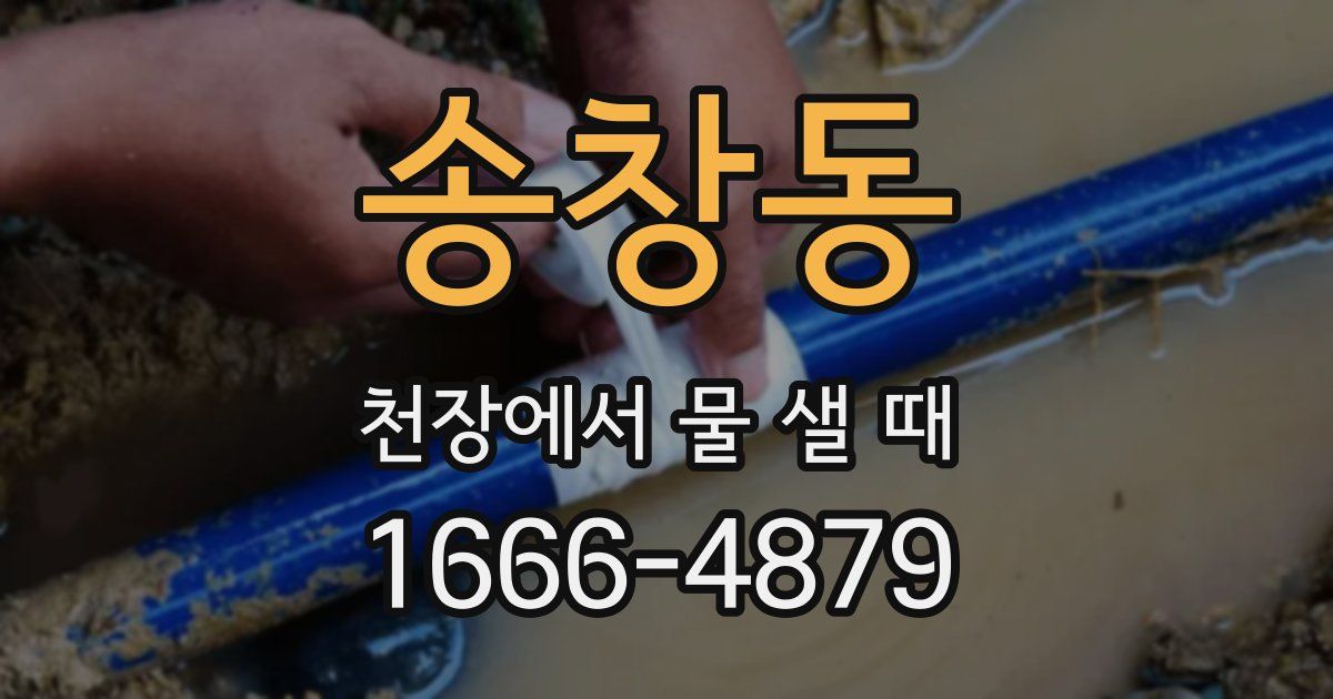 송창동 천장에서 물 샐 때