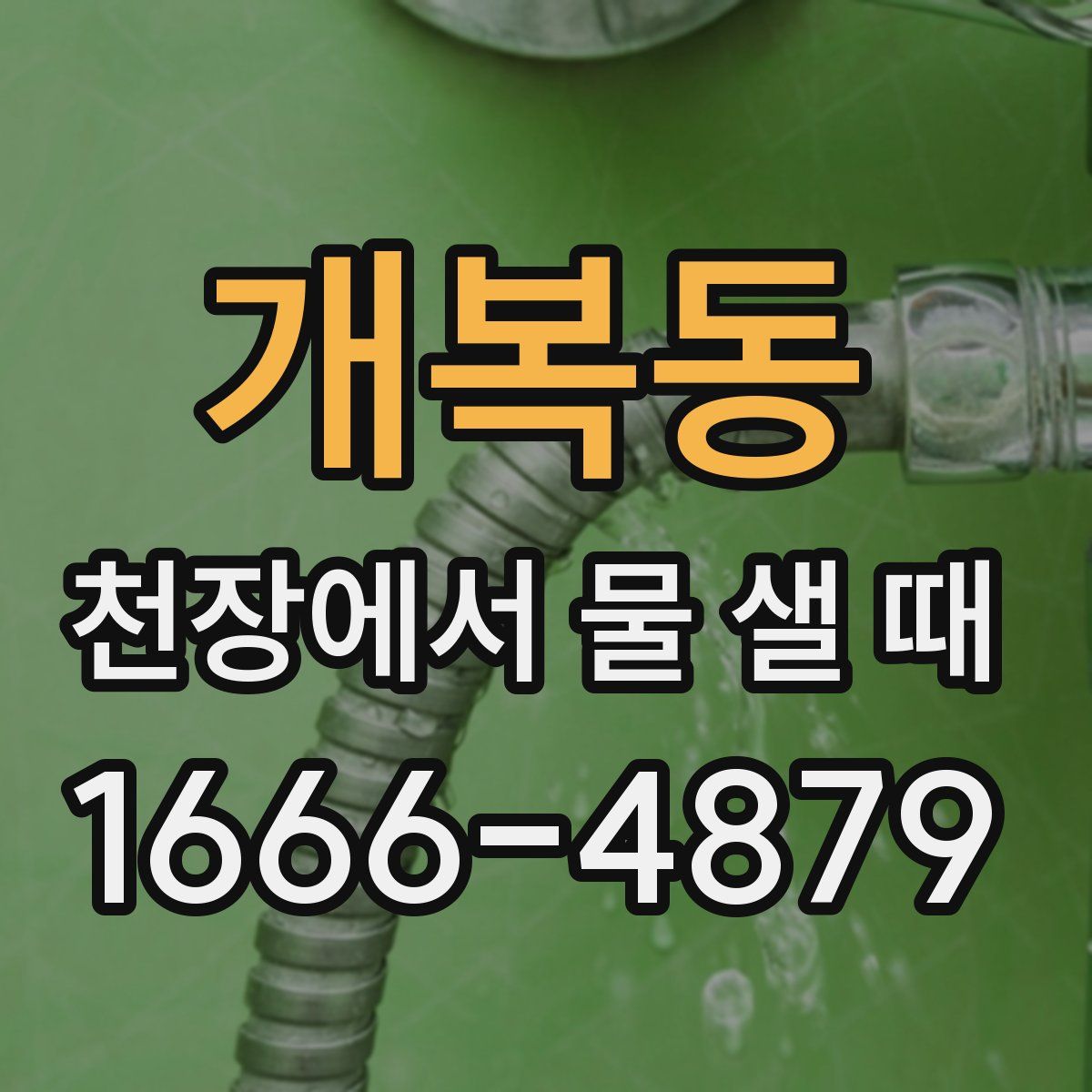 개복동 천장에서 물 샐 때